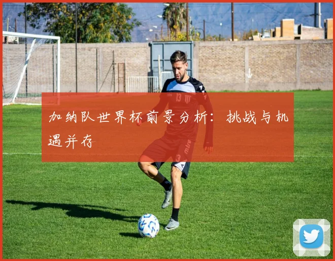 加纳队世界杯前景分析：挑战与机遇并存