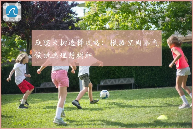 庭院大树选择攻略：根据空间和气候挑选理想树种
